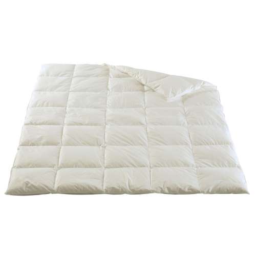 Winter Daunen-Duvet Daboecia BIO-ORGANIC von DOR Dorbena